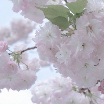 霍城福瑞交流群